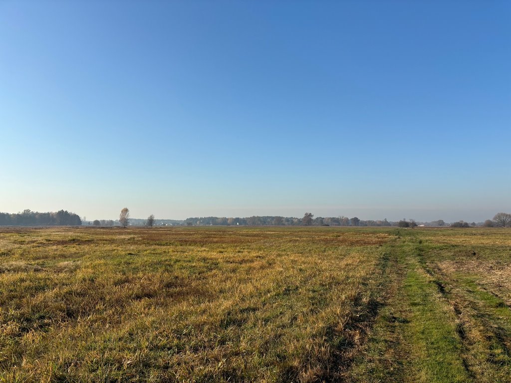 Działka rolna na sprzedaż Nowe Załubice  27 100m2 Foto 2