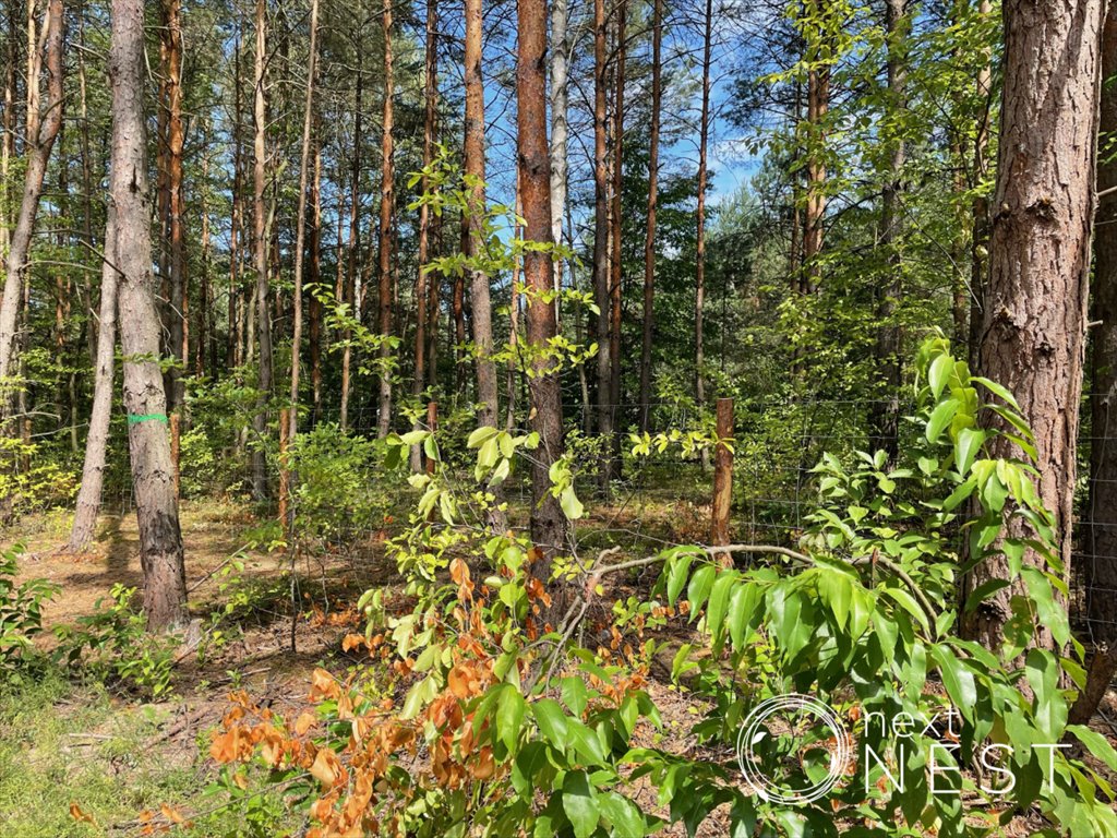 Działka budowlana na sprzedaż Józefów, Rodziewiczówny  1 080m2 Foto 2