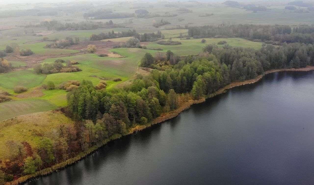 Działka rolna na sprzedaż Świętajno  3 010m2 Foto 5