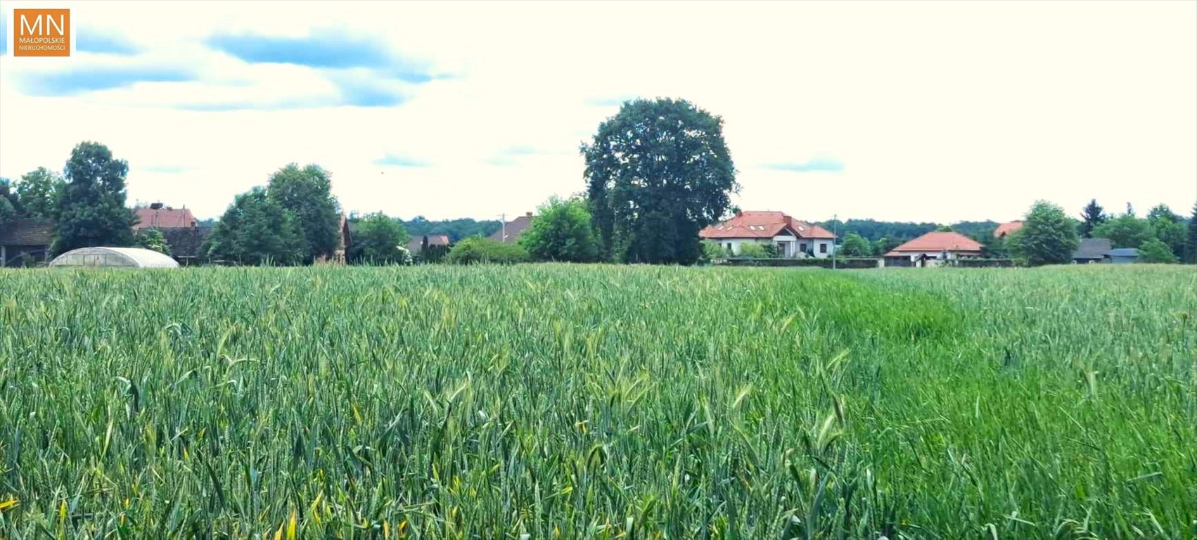 Działka budowlana na sprzedaż Ispina  8 500m2 Foto 4