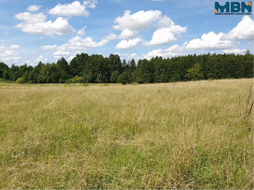 Działka rekreacyjna na sprzedaż Harsz, Harsz  4 720m2 Foto 11