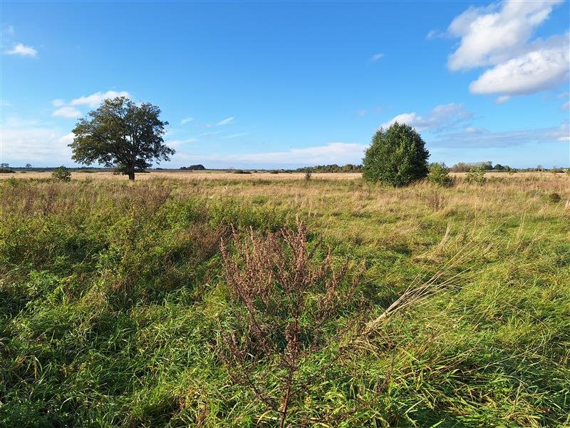 Działka budowlana na sprzedaż Rusko, Rusko  1 442m2 Foto 8