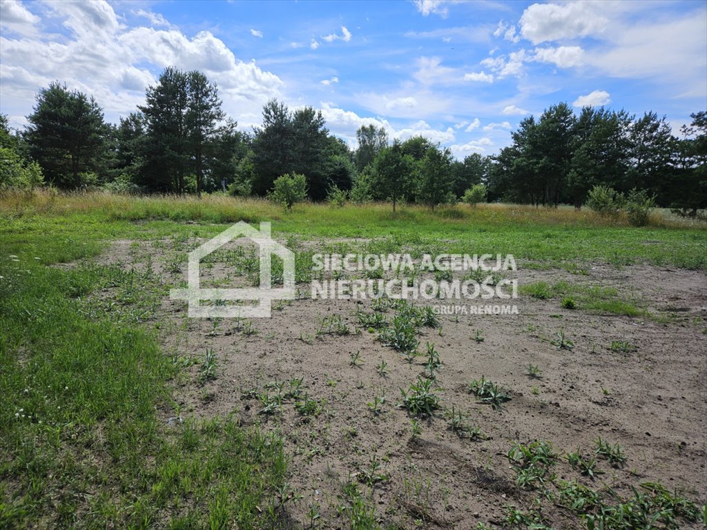 Działka przemysłowo-handlowa na sprzedaż Dzierżążno  9 200m2 Foto 4