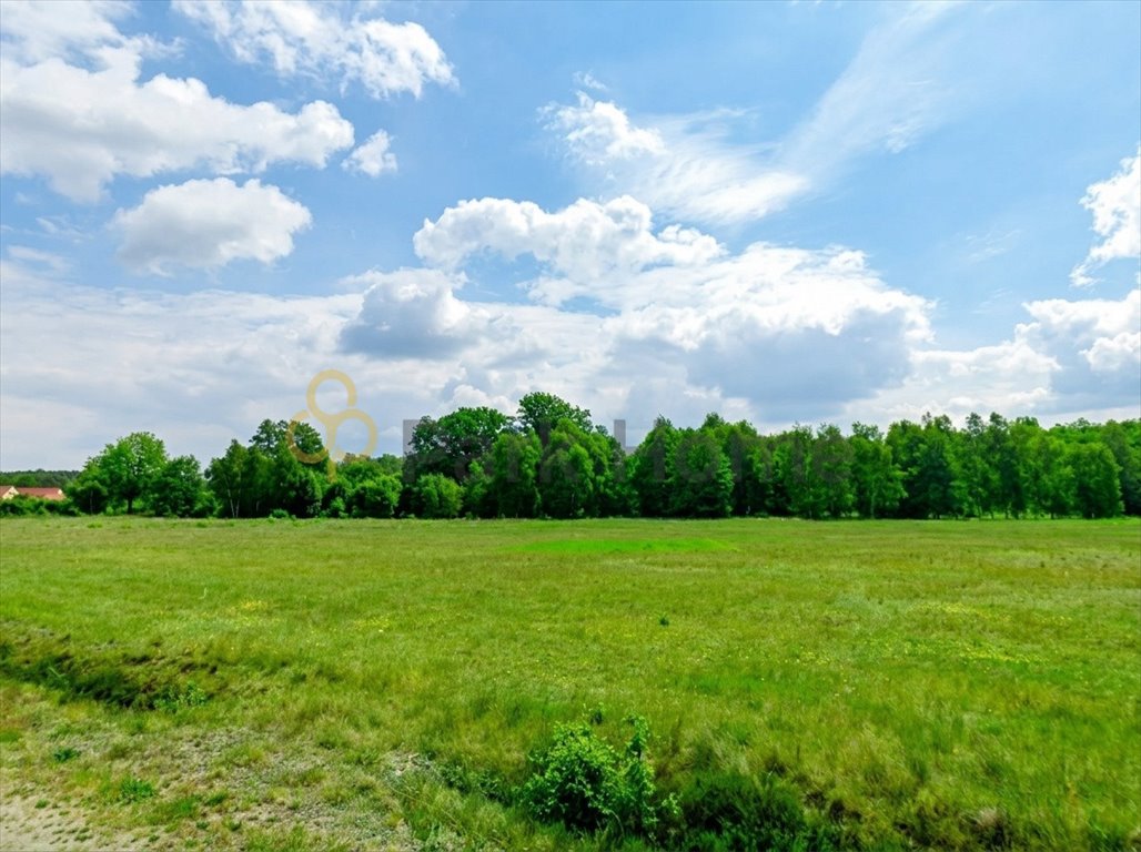 Do sprzedania rozległa działka inwestycyjna 10 900 m² w Mieszkowie Mieszków  10 900m2 Foto 1