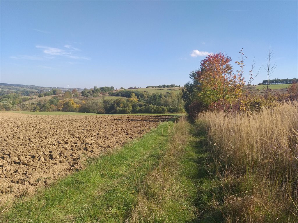 Działka rolna na sprzedaż Makowiska  1 977m2 Foto 2