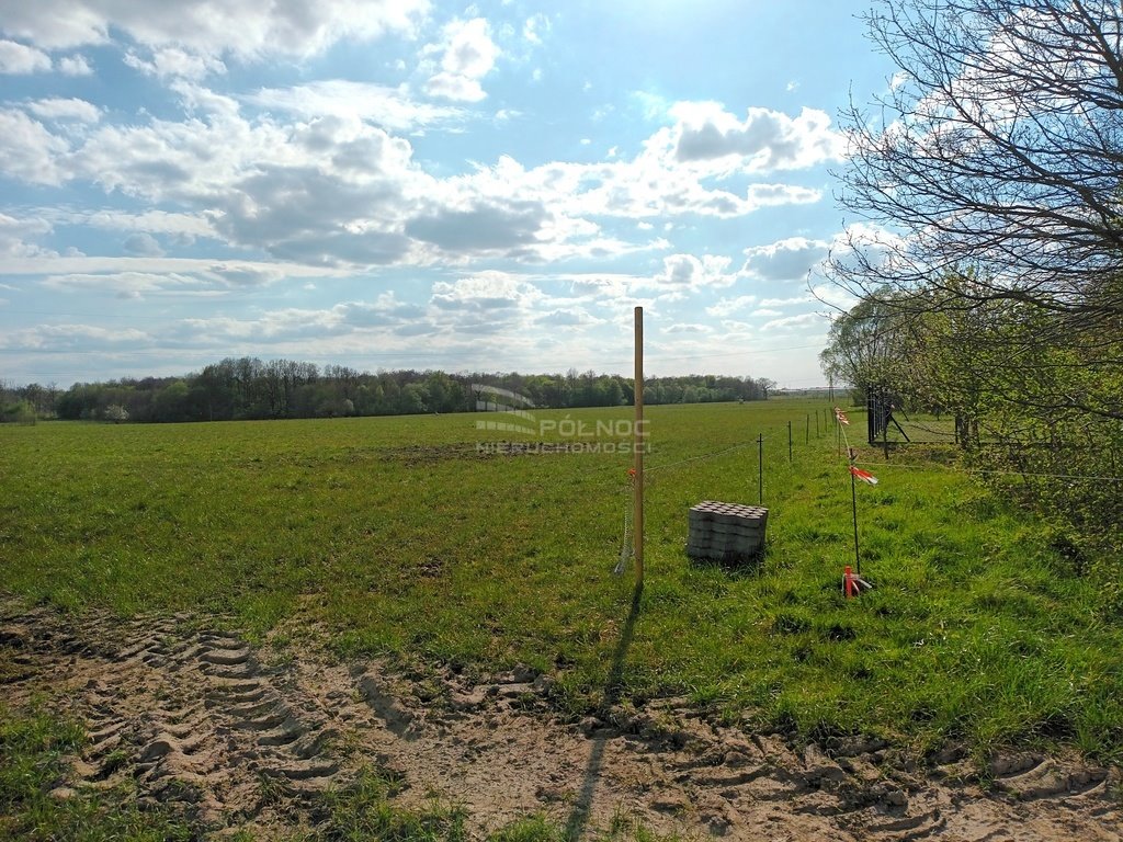 Działka siedliskowa na sprzedaż Wodnica  3 000m2 Foto 5