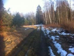 Sprzedam działkę 1,09 ha z lasem i możliwością stawu Solniczki  10 900m2 Foto 1