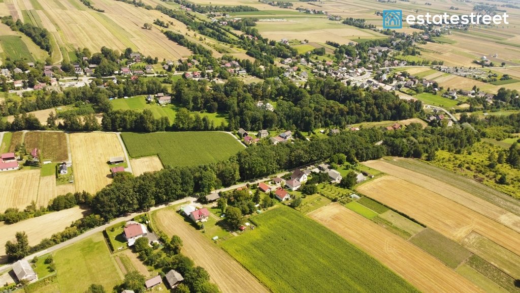 Działka budowlana na sprzedaż Lesieniec  11 206m2 Foto 5