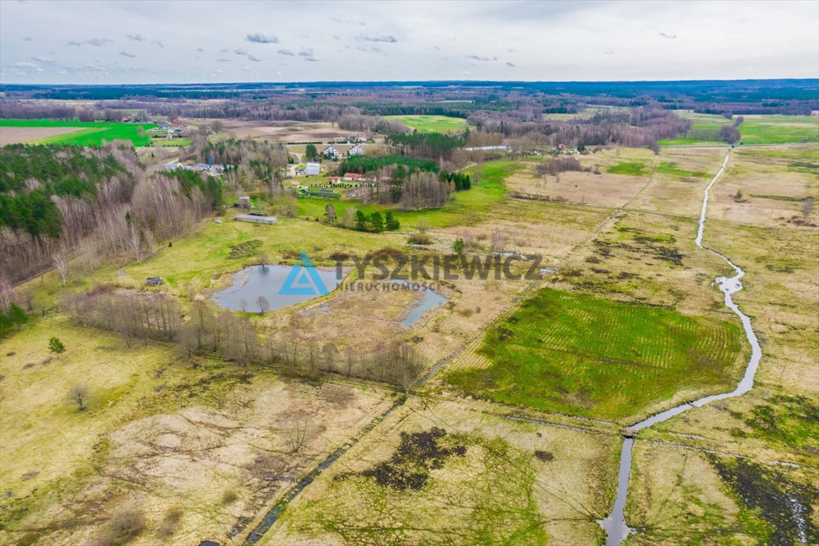 Działka rolna na sprzedaż Zielin  59 900m2 Foto 7