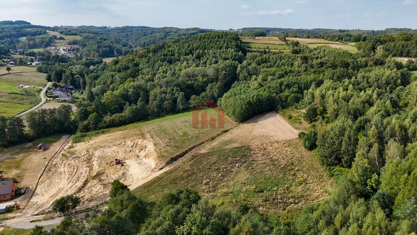 Działka budowlana na sprzedaż Niedźwiada  2 480m2 Foto 11