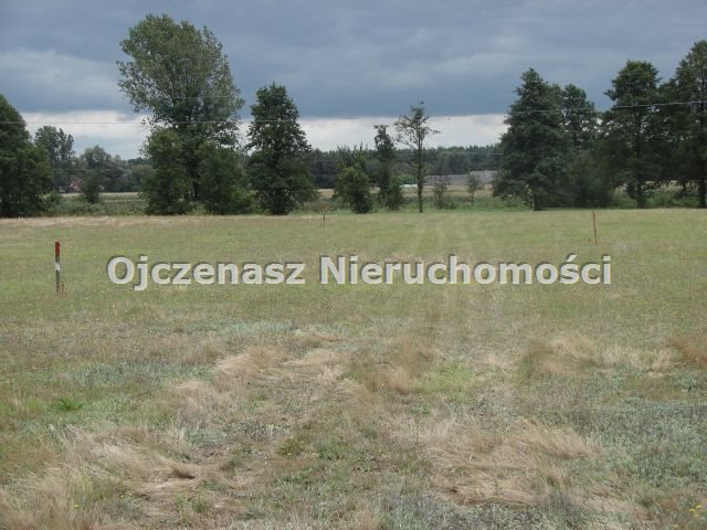 Działka rolna na sprzedaż Brzoza 3 013m2 Foto 1 Działka rolna na sprzedaż Brzoza 3 013m2 Foto 1