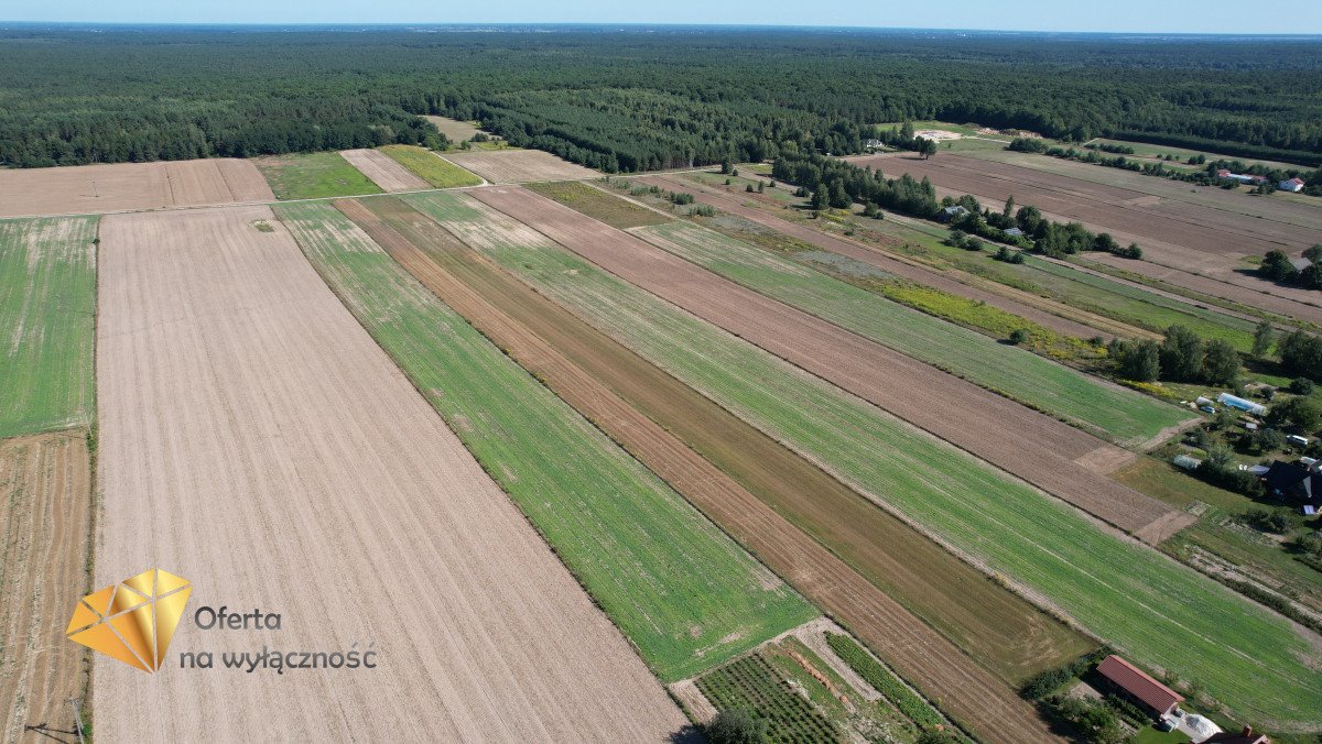 Działka budowlana na sprzedaż Nasutów  3 000m2 Foto 4