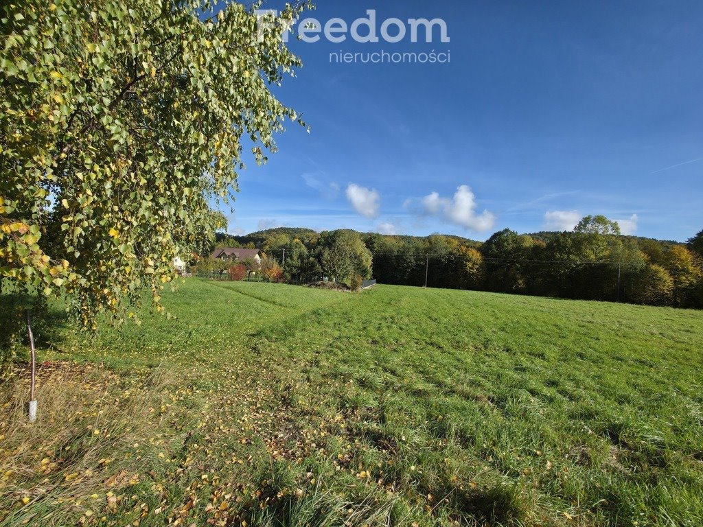 Działka komercyjna na sprzedaż Rzyki, os. Leśniczówka  2 743m2 Foto 1