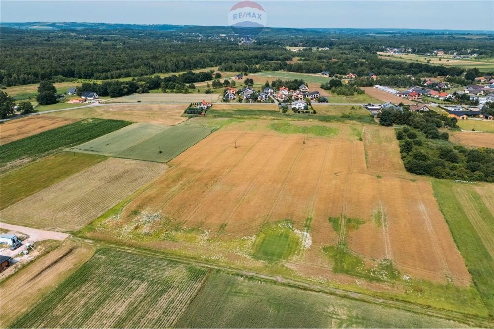 Działka siedliskowa na sprzedaż Kłokoczyn, Sarnia  3 012m2 Foto 4