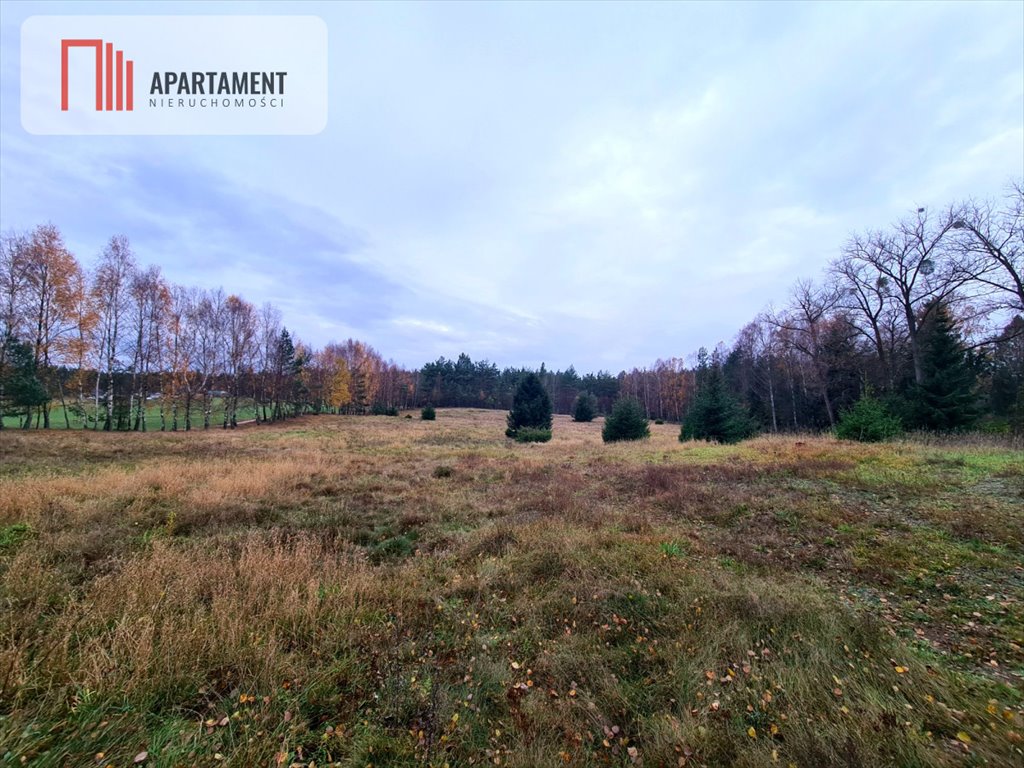 Działka budowlana na sprzedaż Stara Kiszewa  13 500m2 Foto 1