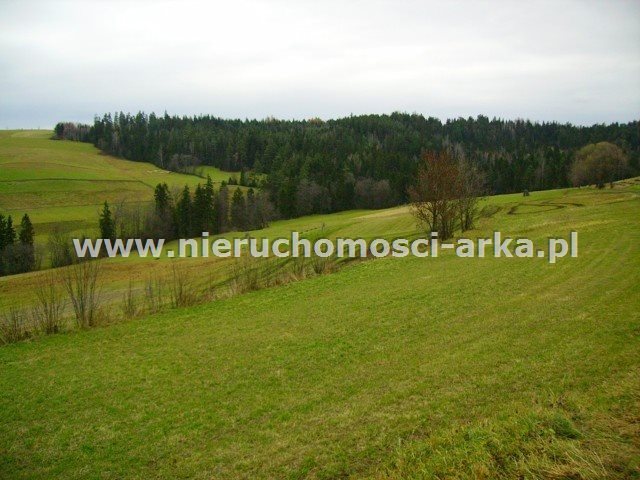 Działka rolna na sprzedaż Rabka-Zdrój 1 000m2 Foto 1 Działka rolna na sprzedaż Rabka-Zdrój 1 000m2 Foto 1