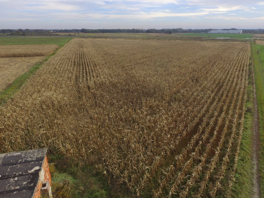 Działka komercyjna na sprzedaż Oleśnica  11 736m2 Foto 3