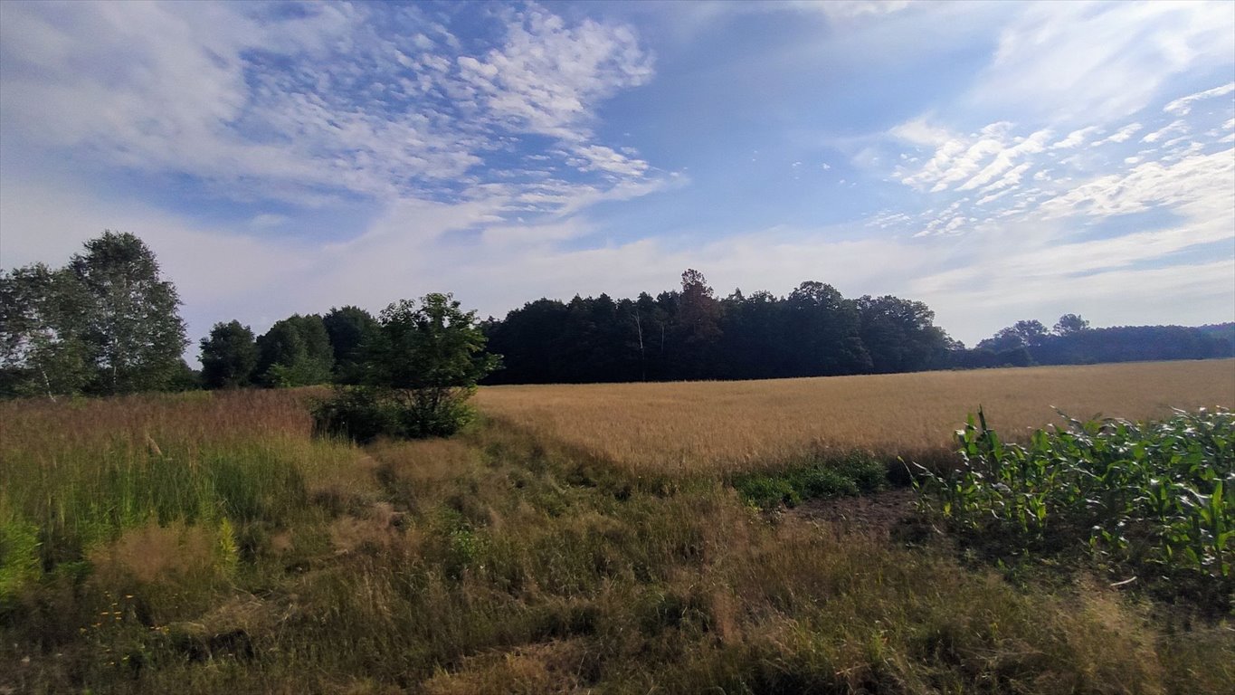 Działka budowlana na sprzedaż Kośmidry, Szkolna  847m2 Foto 5