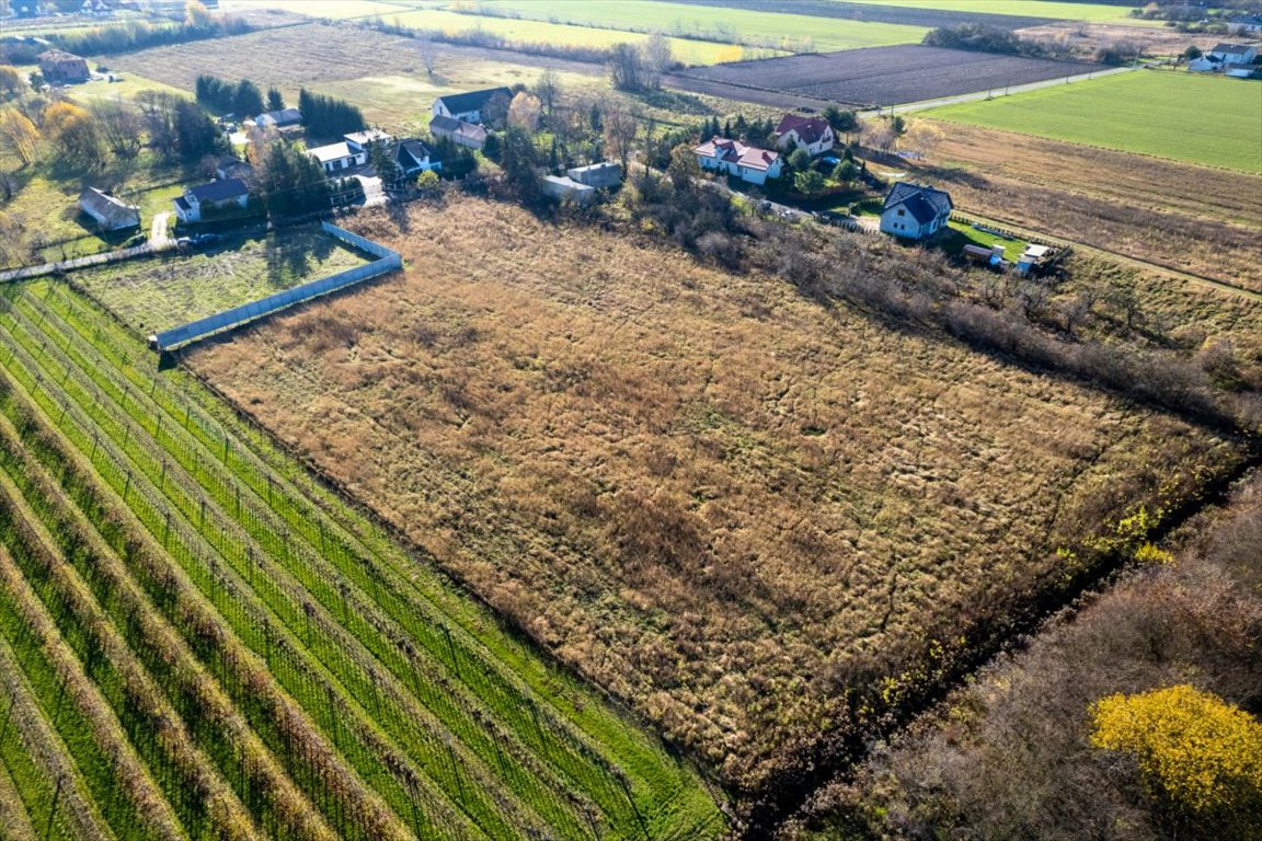 Działka budowlana na sprzedaż Stachowo, Sadowa  1 700m2 Foto 3