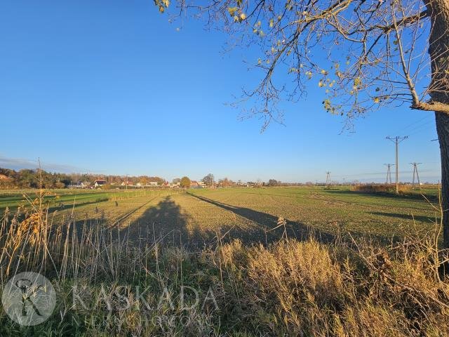 Działka 1,9 ha pod zabudowę i agroturystykę w Sztutowie Sztutowo  4 620m2 Foto 1