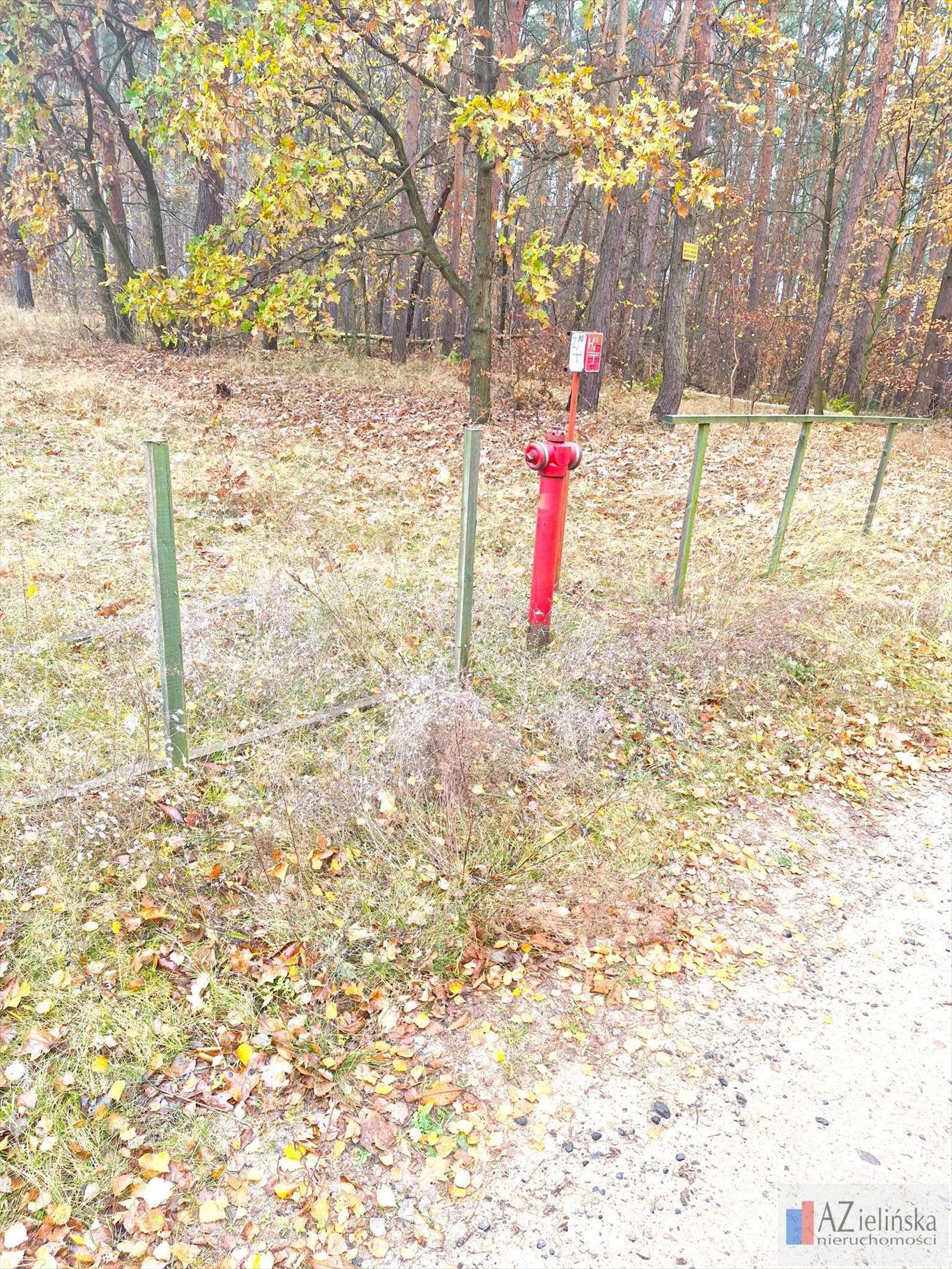 Działka rolna na sprzedaż Poznań, Glinienko  40 000m2 Foto 7