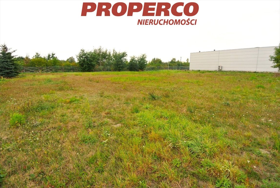 Działka 6000 m² w Pawłowicach, blisko S7 - polecam! Pawłowice  6 000m2 Foto 1