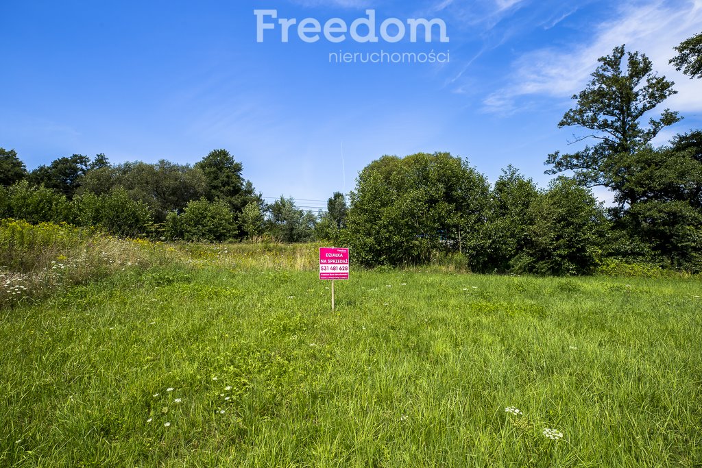 Działka rolna na sprzedaż Cieszyna  9 593m2 Foto 14