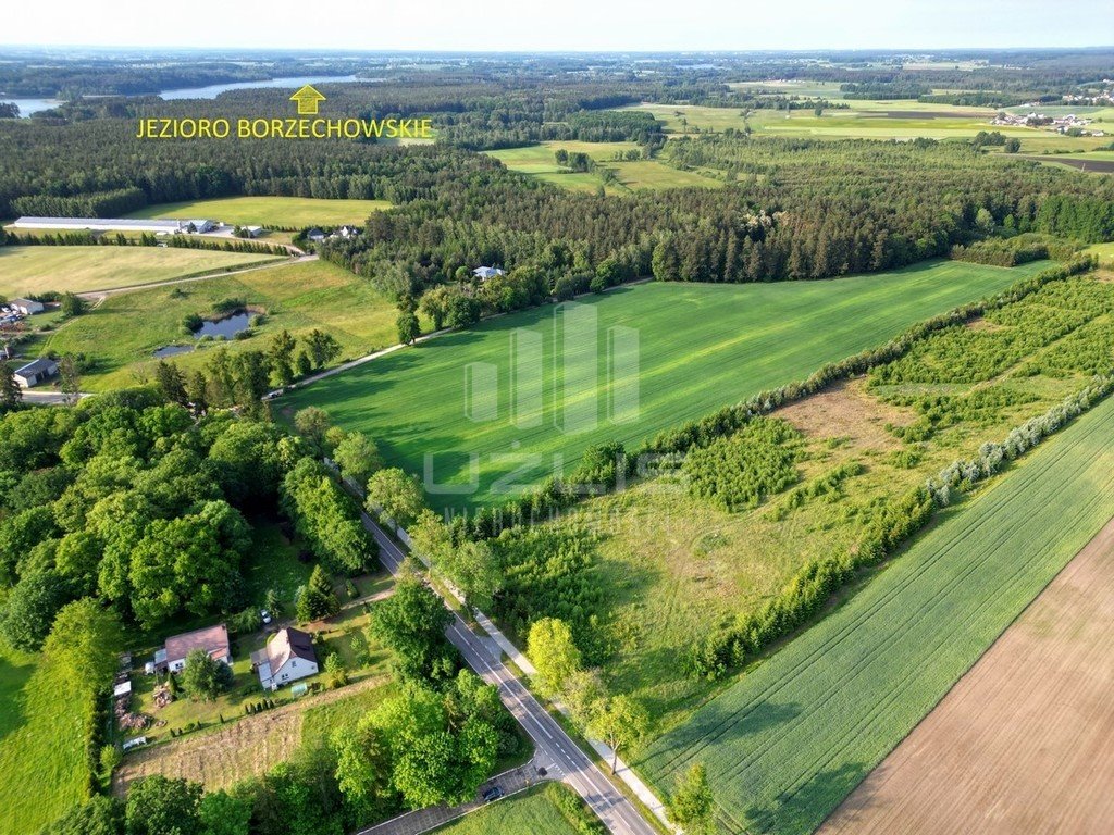 Działka budowlana na sprzedaż Bietowo  3 000m2 Foto 9