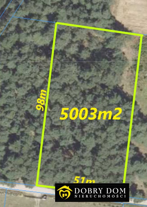 Polecam malowniczą działkę leśną 5000 m² z prądem w Zaczerlanym Zaczerlany  5 003m2 Foto 1