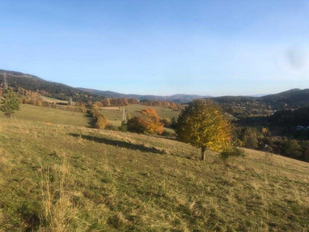 Działka inna na sprzedaż Nowa Ruda  2 600m2 Foto 2