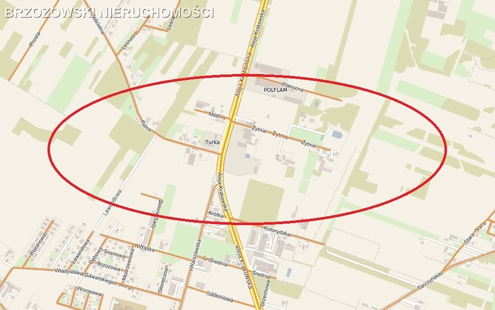 Działka inwestycyjna na sprzedaż Tarczyn  18 000m2 Foto 1