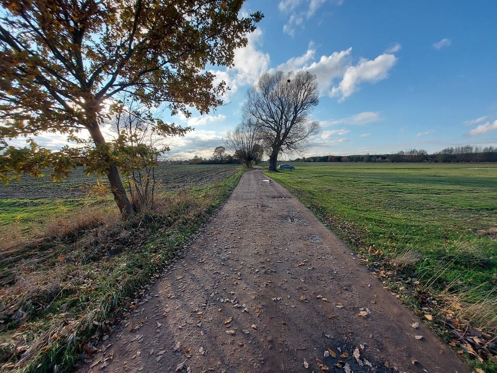 Działka inna na sprzedaż Osiedle Poznańskie, Nowa  1 263m2 Foto 10