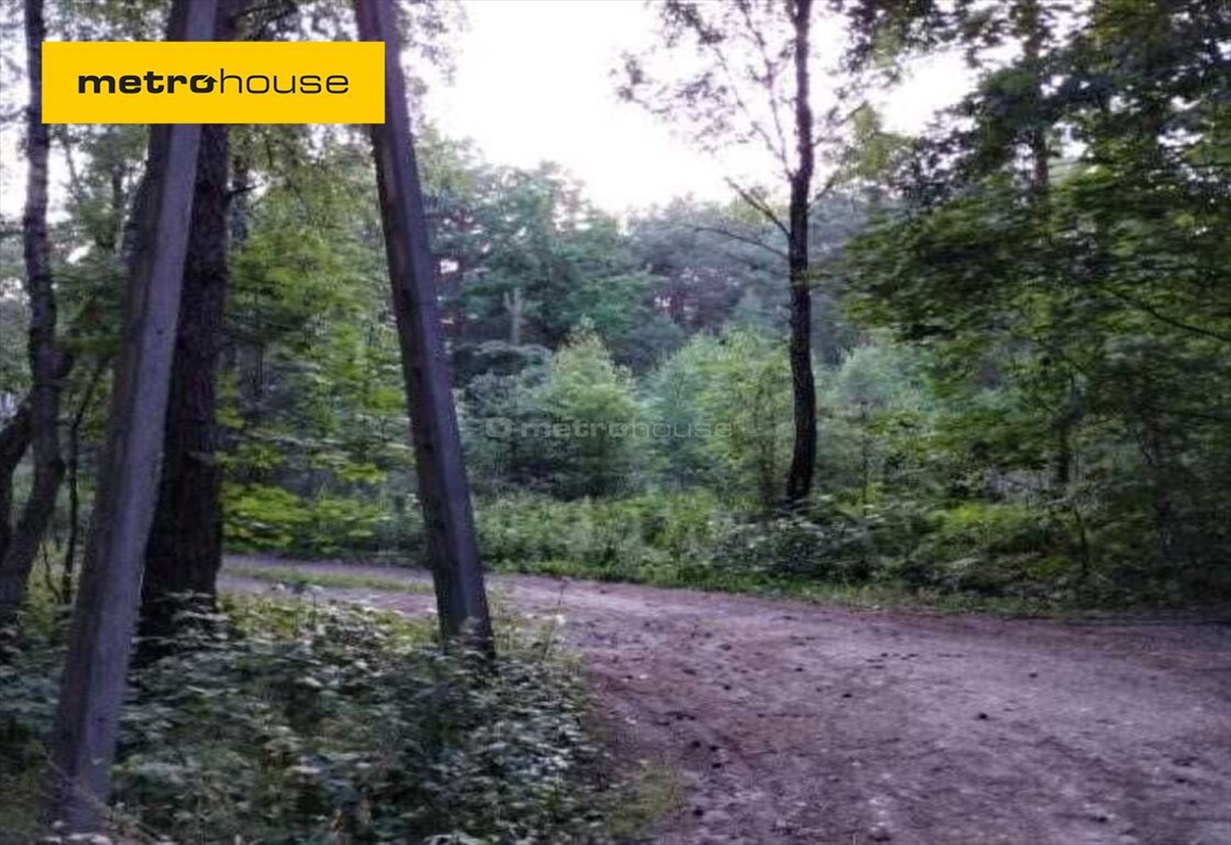 Działka leśna na sprzedaż Dąbrówka, Mazowiecka  1 100m2 Foto 1