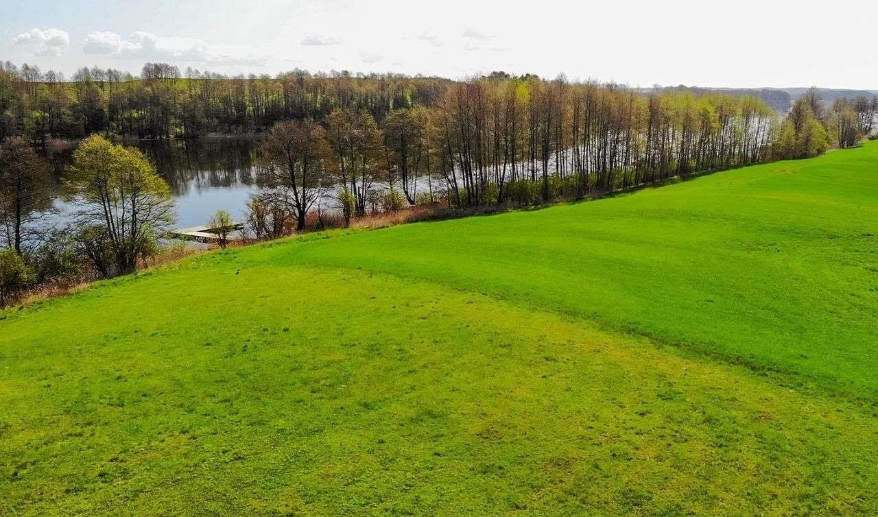 Działka budowlana na sprzedaż Miłki  10 002m2 Foto 9