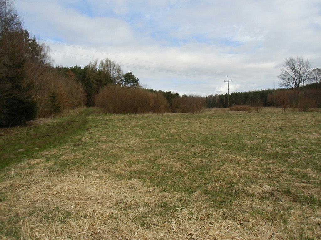 Działka rolna na sprzedaż Tawęcino  136 800m2 Foto 10