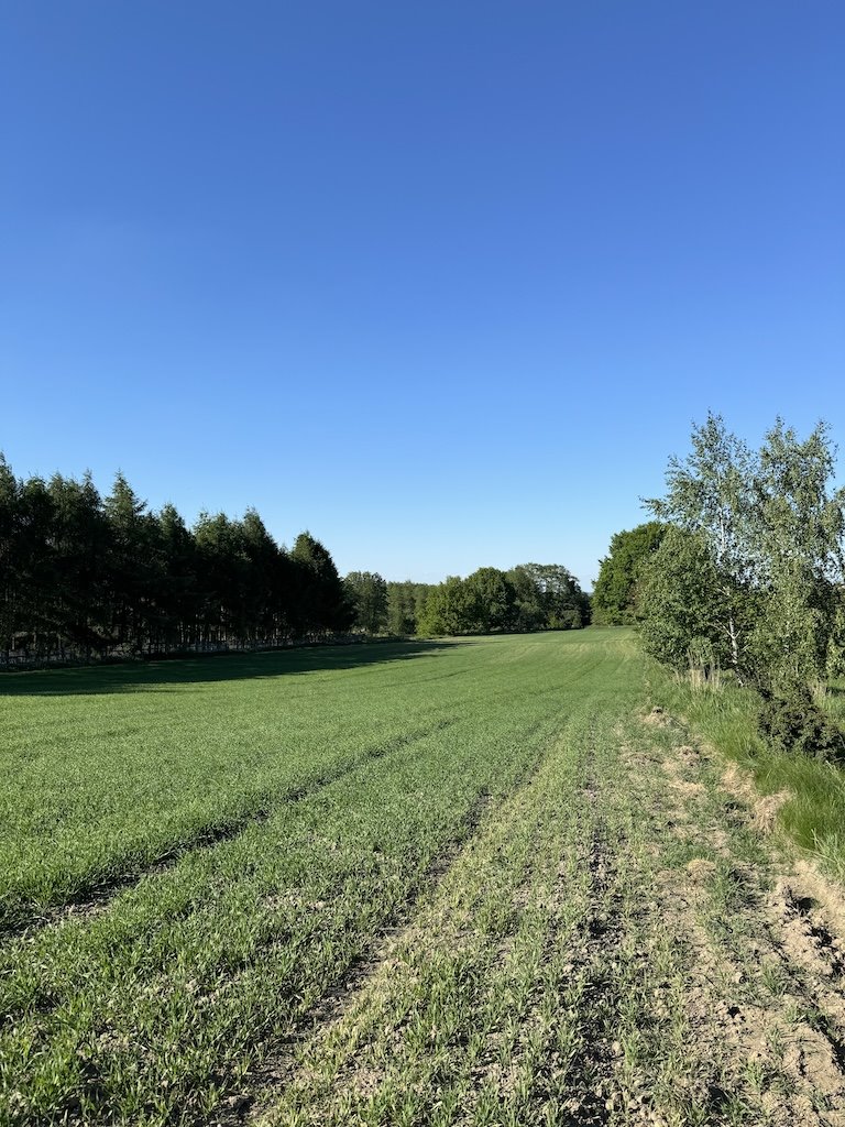 Duża działka 6601 m2 pod zabudowę w Łaziskach Górnych Łaziska Górne  6 601m2 Foto 1