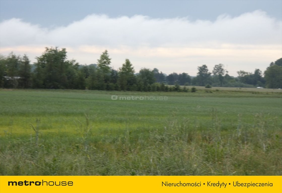 Działka inna na sprzedaż Nowa Mała Wieś  1 000m2 Foto 10