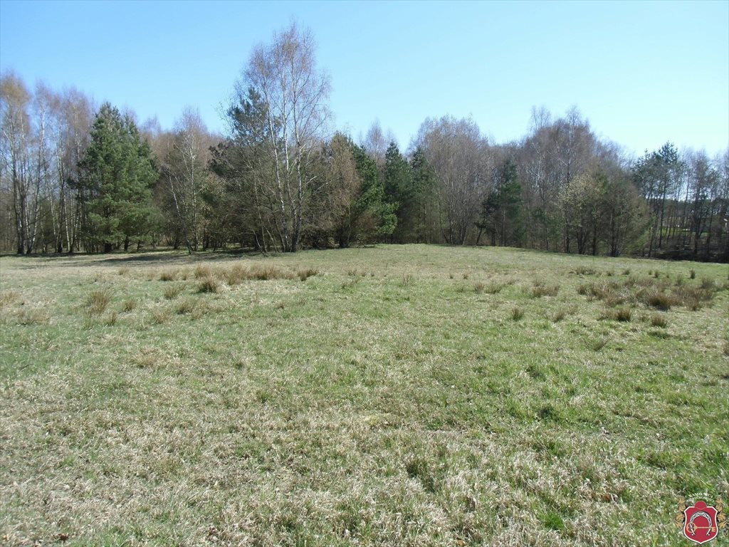 Działka budowlana na sprzedaż Kielno, Wiśniowa 1 002m2 Foto 1 Działka budowlana na sprzedaż Kielno, Wiśniowa 1 002m2 Foto 1