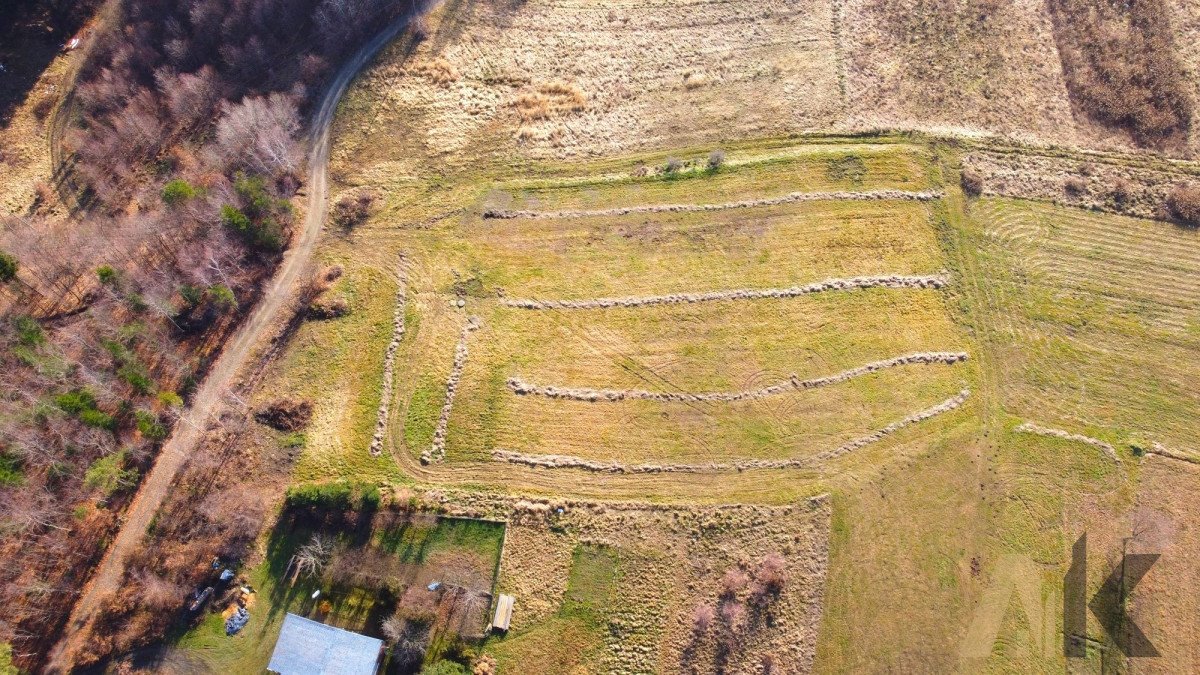 Działka budowlana na sprzedaż Paszyn  3 218m2 Foto 5