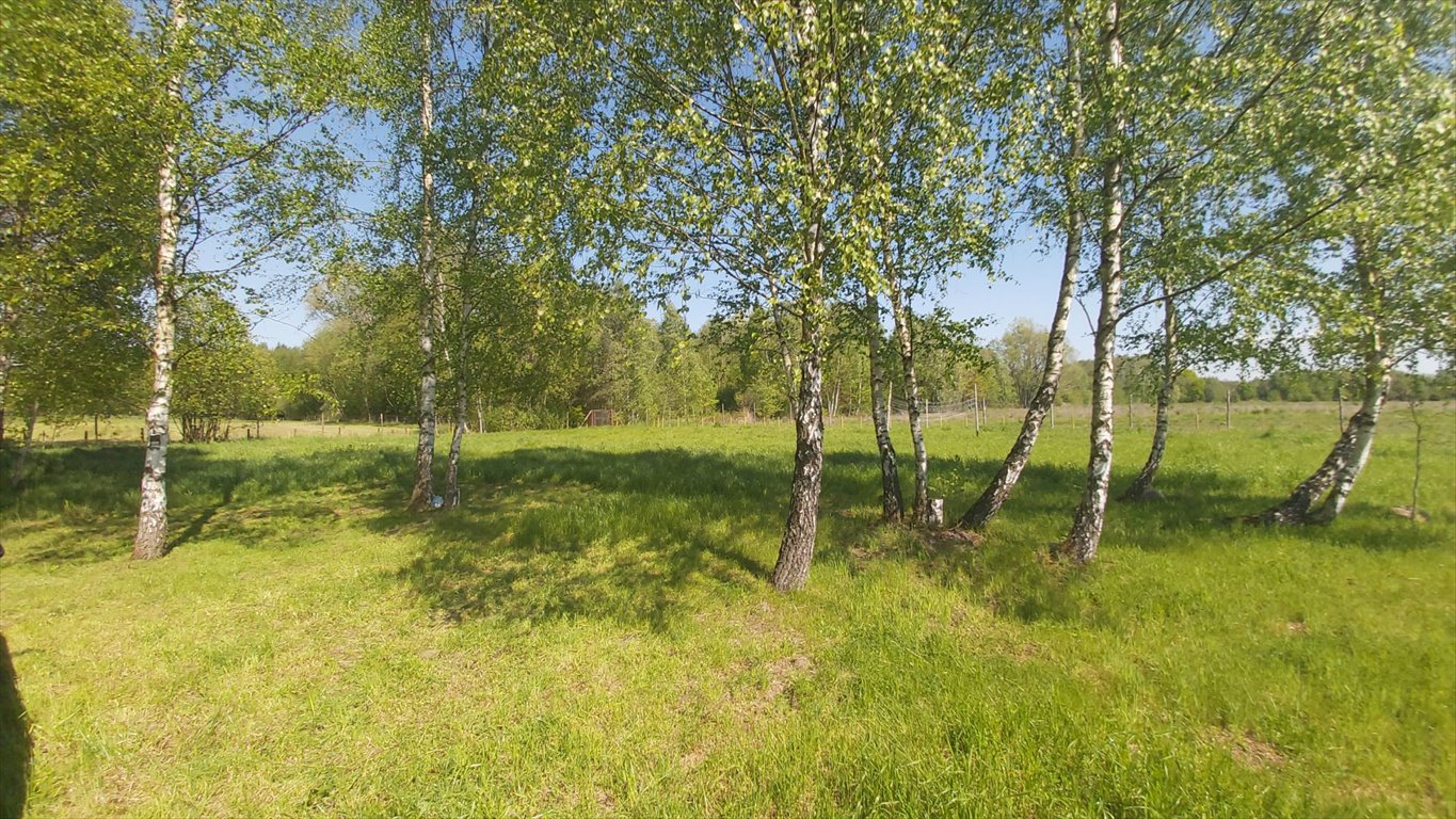 Działka budowlana na sprzedaż Radonie  3 000m2 Foto 9