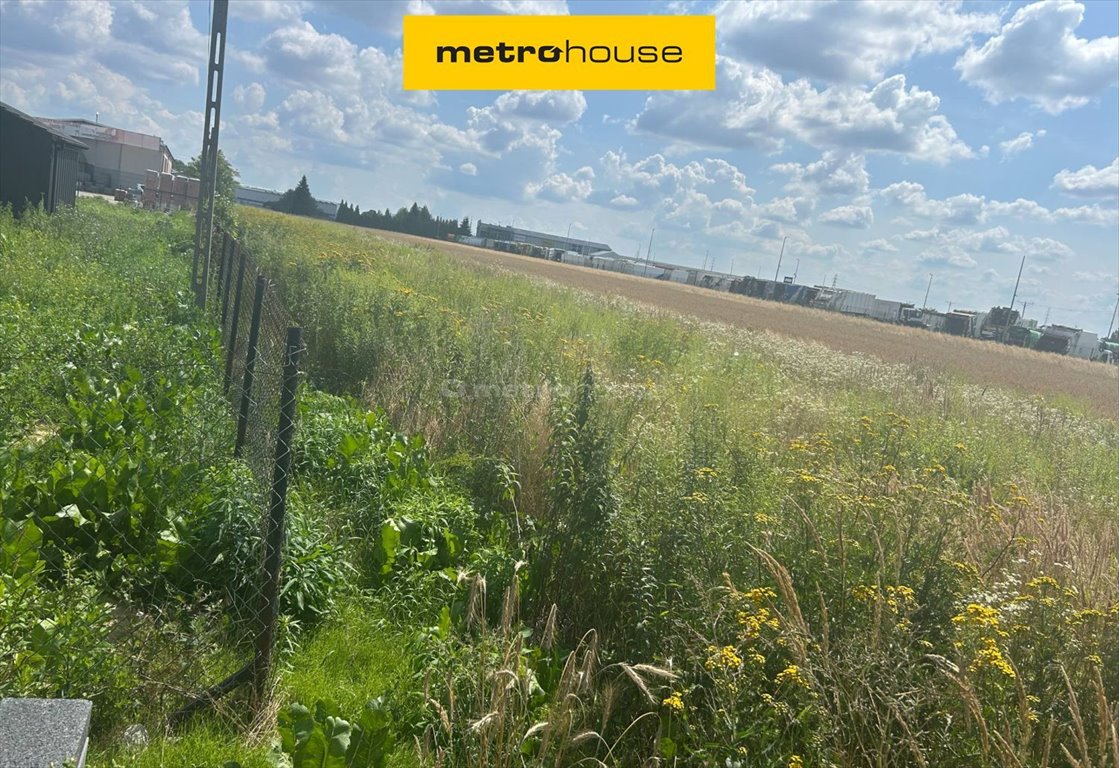 Działka inna na sprzedaż Sokołów  5 700m2 Foto 1