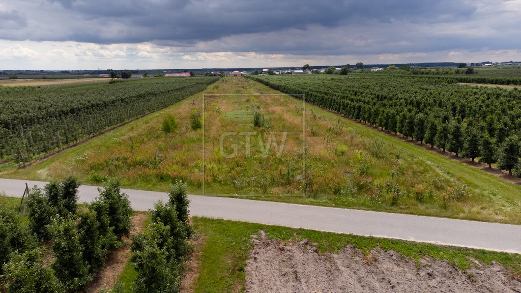 Działka budowlana na sprzedaż Martynów  1 499m2 Foto 7