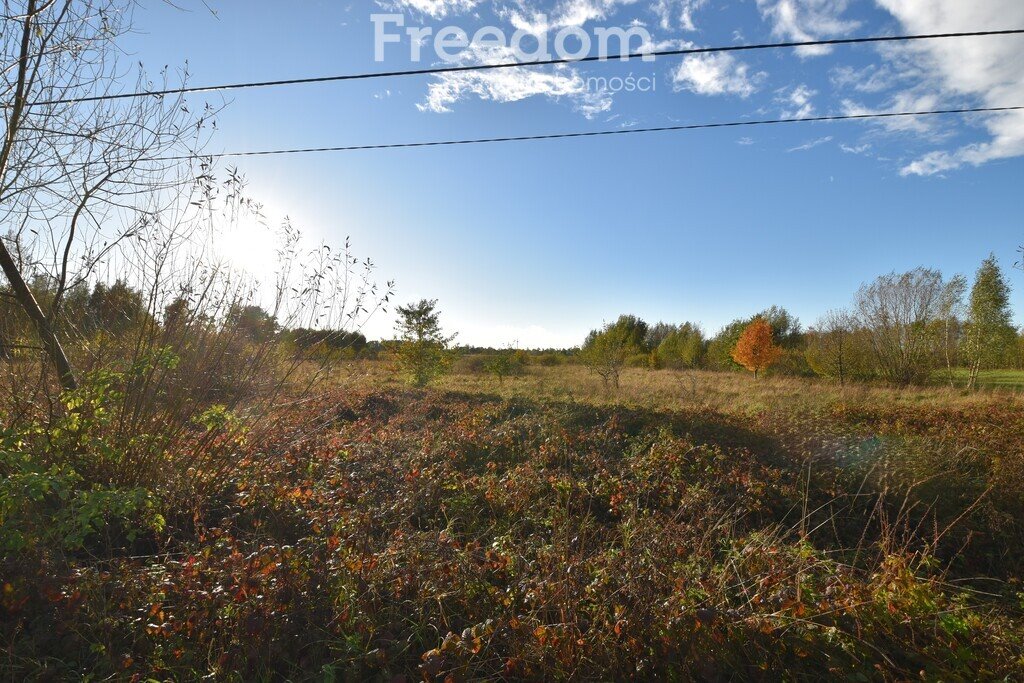 Działka inna na sprzedaż Broniów  6 500m2 Foto 11