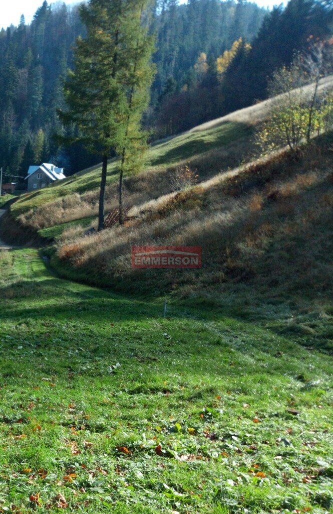 Działka budowlana na sprzedaż Obidza  2 220m2 Foto 2