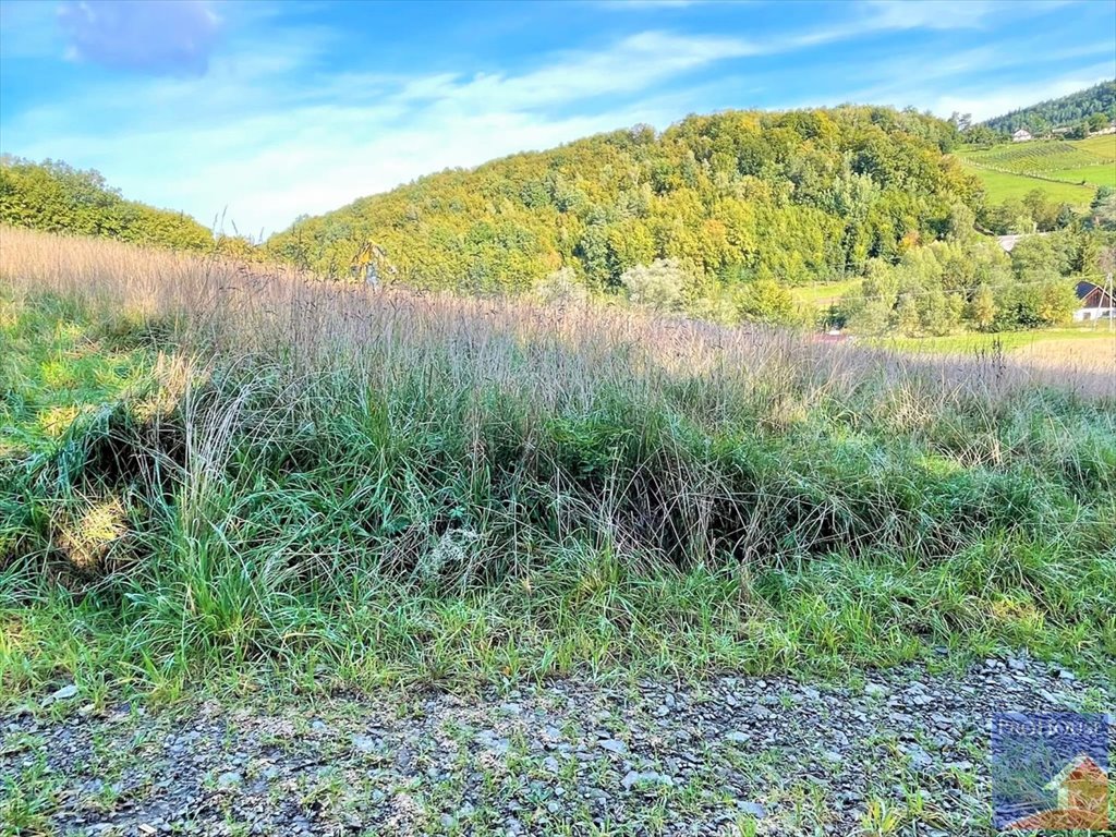 Atrakcyjna działka 1000 m² z mediami i możliwością zabudowy Limanowa  1 000m2 Foto 1