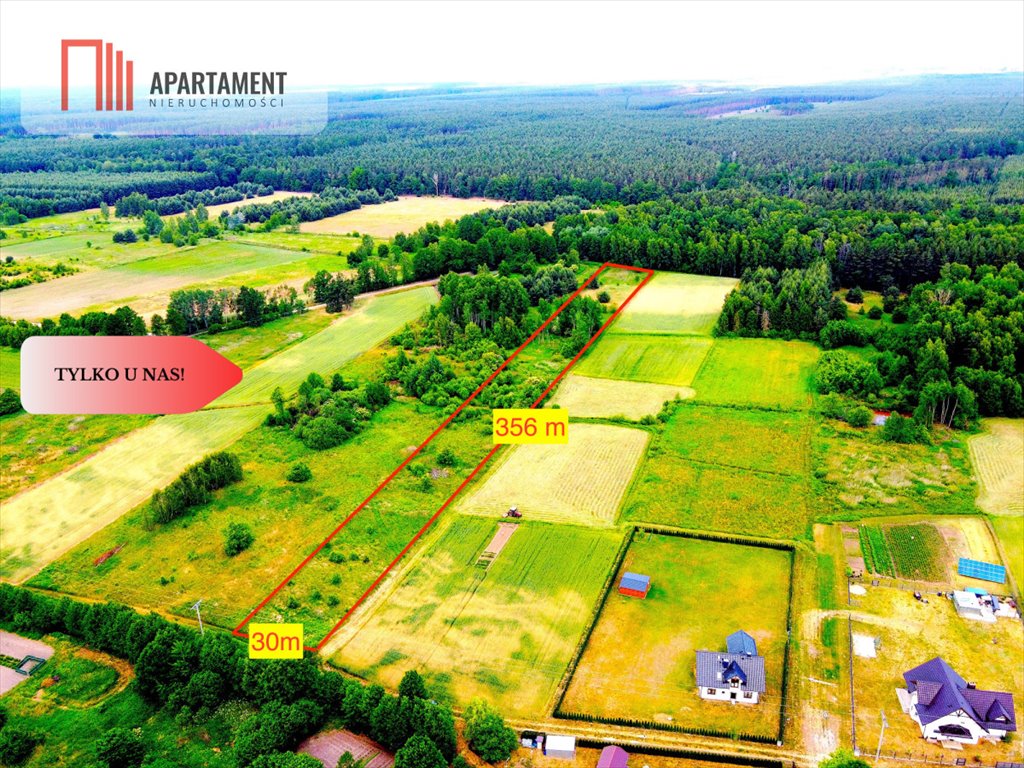 Do sprzedania duża działka 10 681 m² z możliwością zabudowy Skoroszów  10 681m2 Foto 1