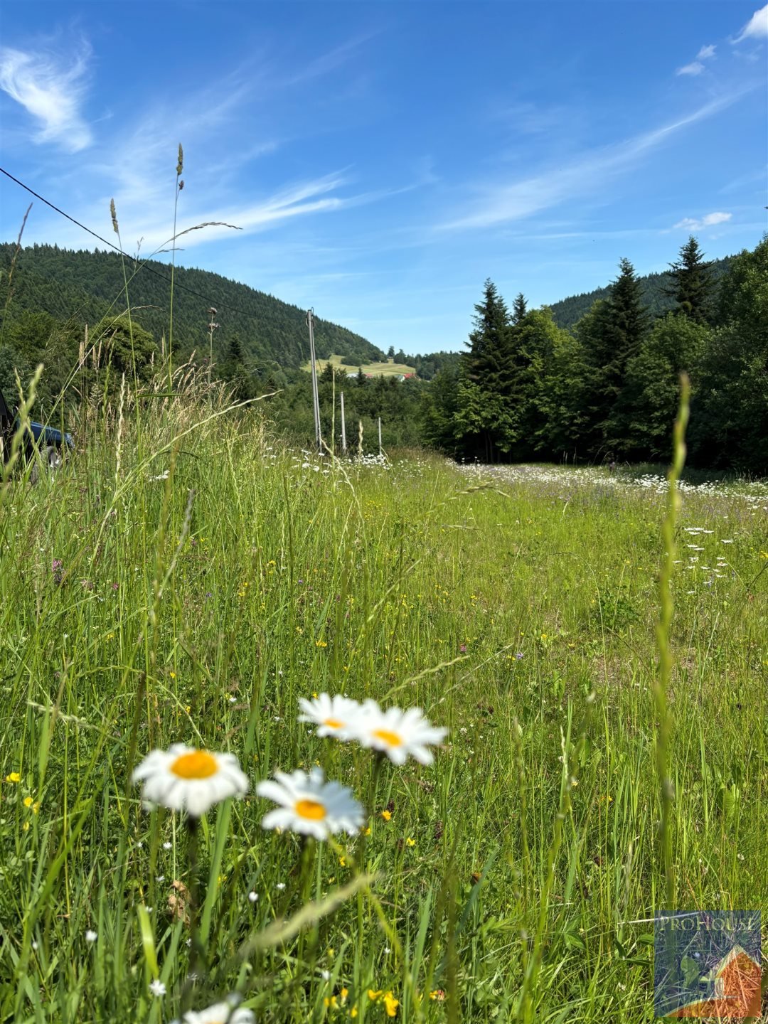 Działka 2094 m² z warunkami zabudowy w Pisarzowej - polecam! Pisarzowa  2 094m2 Foto 1