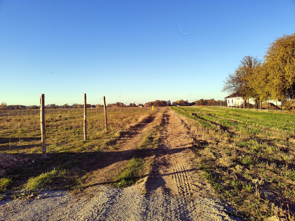 Działka budowlana na sprzedaż Myśliszewice, Długa  1 282m2 Foto 7