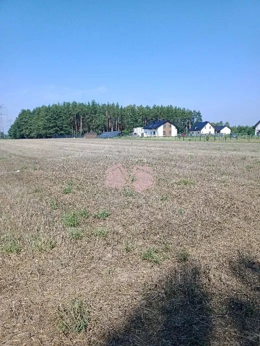 Działka rolna na sprzedaż Kowalewo, Szemudzka  22 000m2 Foto 4