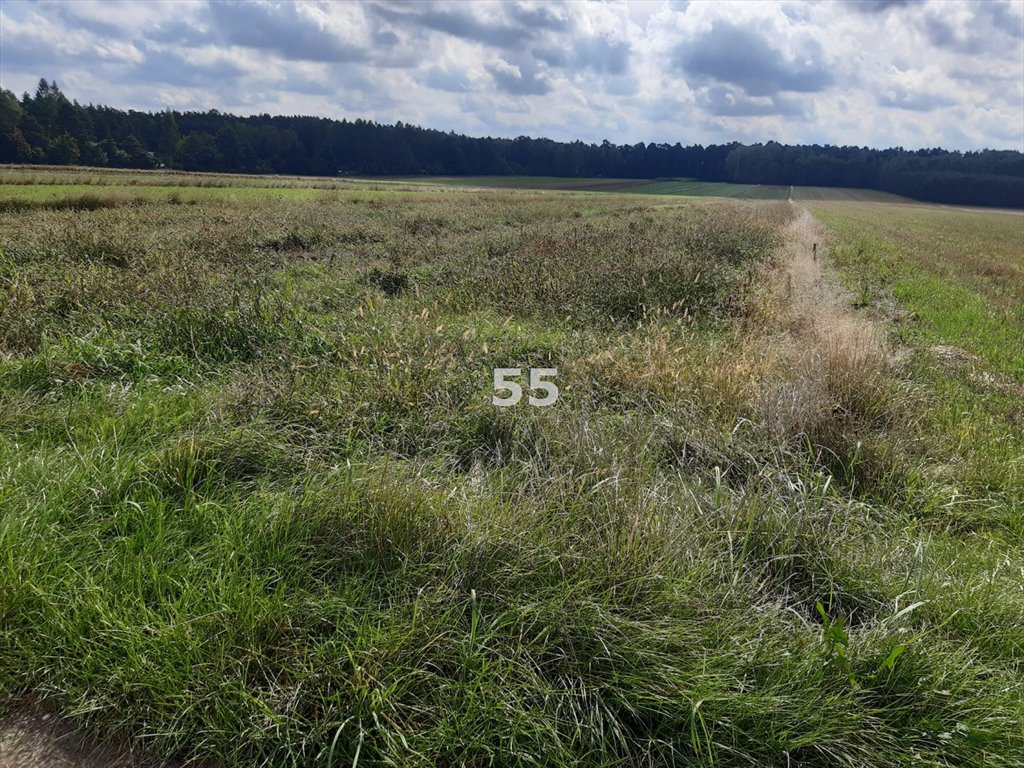 Działka rekreacyjna na sprzedaż Barycz  5 015m2 Foto 3